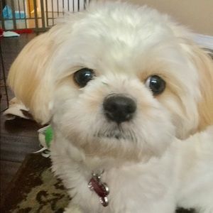 Meet your Posher, Wala pattah